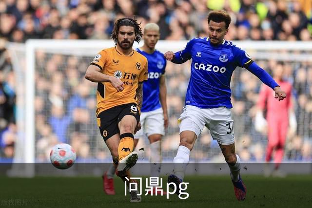 问鼎pg 公司简介